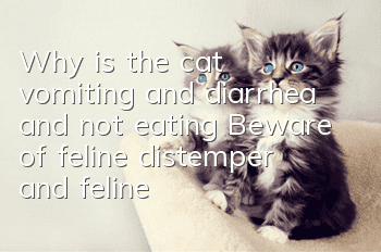 Why is the cat vomiting and diarrhea and not eating? Beware of feline distemper and feline infectious peritonitis!