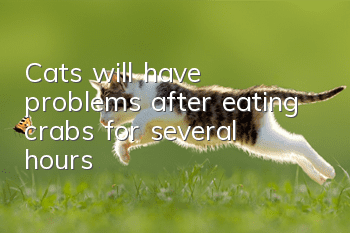 Cats will have problems after eating crabs for several hours