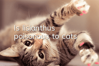 Is lisianthus poisonous to cats?