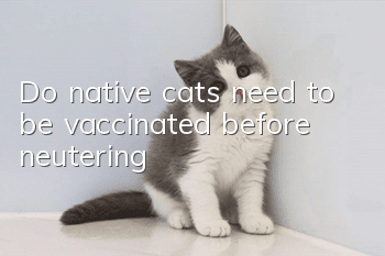Do native cats need to be vaccinated before neutering?