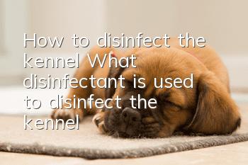 How to disinfect the kennel? What disinfectant is used to disinfect the kennel?