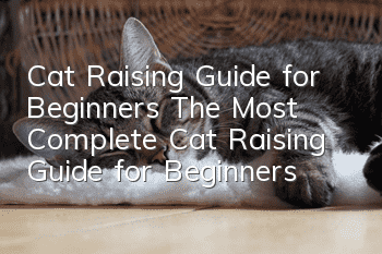 Cat Raising Guide for Beginners (The Most Complete Cat Raising Guide for Beginners)