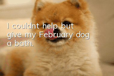 I couldn’t help but give my February dog ​​a bath.