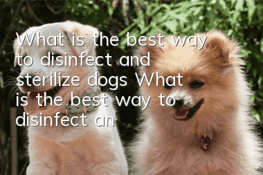 What is the best way to disinfect and sterilize dogs? What is the best way to disinfect and sterilize dogs?