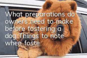 What preparations do owners need to make before fostering a dog? Things to note when fostering a dog!