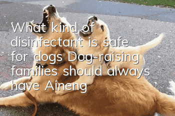 What kind of disinfectant is safe for dogs? Dog-raising families should always have Aineng disinfectant on hand!
