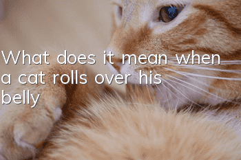 What does it mean when a cat rolls over his belly?