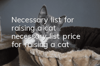 Necessary list for raising a cat (necessary list price for raising a cat)