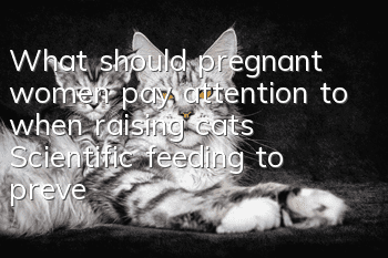 What should pregnant women pay attention to when raising cats? Scientific feeding to prevent Toxoplasma gondii!