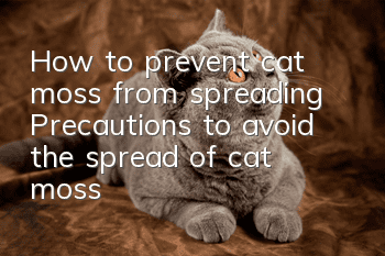 How to prevent cat moss from spreading? Precautions to avoid the spread of cat moss!