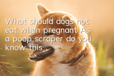 What should dogs not eat when pregnant? As a poop scraper, do you know this?