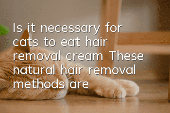 Is it necessary for cats to eat hair removal cream? These natural hair removal methods are healthy and effective!