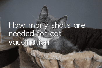 How many shots are needed for cat vaccination?