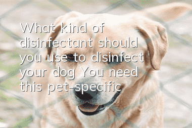 What kind of disinfectant should you use to disinfect your dog? You need this pet-specific disinfectant!
