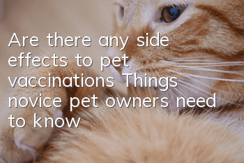 Are there any side effects to pet vaccinations? Things novice pet owners need to know