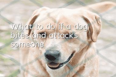 What to do if a dog bites and attacks someone
