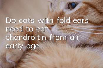 Do cats with fold ears need to eat chondroitin from an early age?