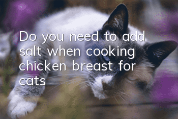 Do you need to add salt when cooking chicken breast for cats?