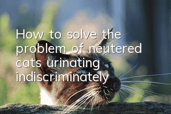 How to solve the problem of neutered cats urinating indiscriminately