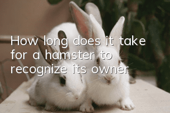 How long does it take for a hamster to recognize its owner?