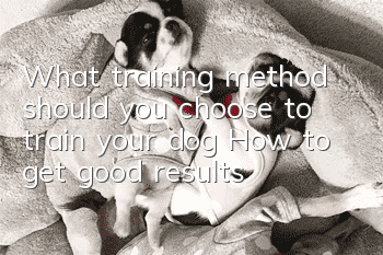 What training method should you choose to train your dog? How to get good results