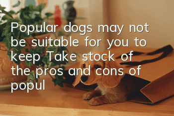 Popular dogs may not be suitable for you to keep! Take stock of the pros and cons of popular dog breeds