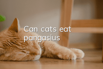 Can cats eat pangasius?
