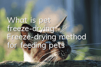 What is pet freeze-drying? Freeze-drying method for feeding pets