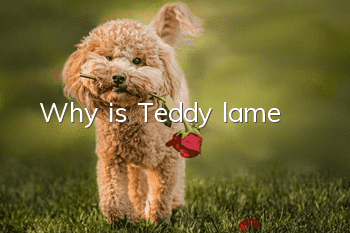 Why is Teddy lame?