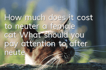 How much does it cost to neuter a female cat? What should you pay attention to after neutering a female cat?