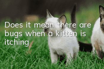 Does it mean there are bugs when a kitten is itching?