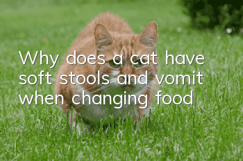 Why does a cat have soft stools and vomit when changing food?