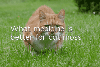 What medicine is better for cat moss?
