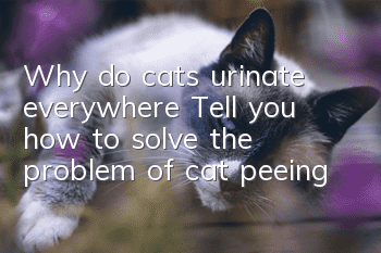Why do cats urinate everywhere? Tell you how to solve the problem of cat peeing
