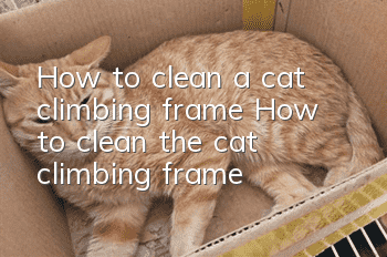 How to clean a cat climbing frame? (How to clean the cat climbing frame?)