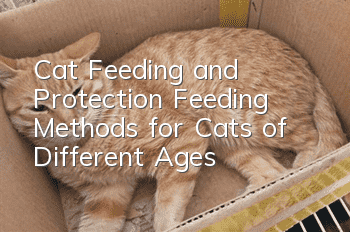 Cat Feeding and Protection Feeding Methods for Cats of Different Ages