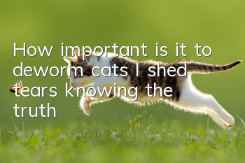 How important is it to deworm cats? I shed tears knowing the truth!