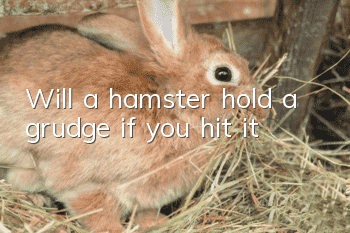 Will a hamster hold a grudge if you hit it?