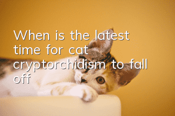 When is the latest time for cat cryptorchidism to fall off?