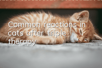 Common reactions in cats after triple therapy