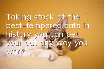 Taking stock of the best-tempered cats in history, you can pet your cat any way you want!