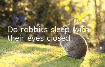Do rabbits sleep with their eyes closed?