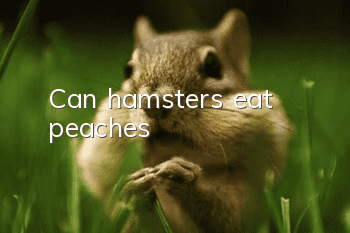 Can hamsters eat peaches?