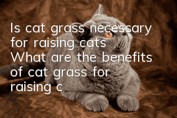 Is cat grass necessary for raising cats? (What are the benefits of cat grass for raising cats?)