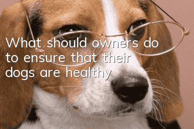 What should owners do to ensure that their dogs are healthy?