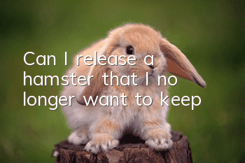 Can I release a hamster that I no longer want to keep?