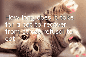 How long does it take for a cat to recover from stress refusal to eat?