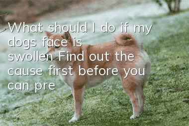 What should I do if my dog’s face is swollen? Find out the cause first before you can prescribe the right remedy!