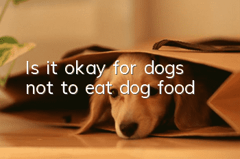 Is it okay for dogs not to eat dog food?