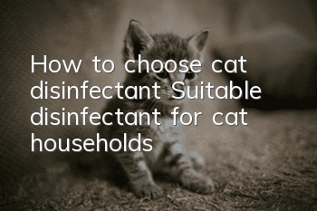 How to choose cat disinfectant? Suitable disinfectant for cat households!